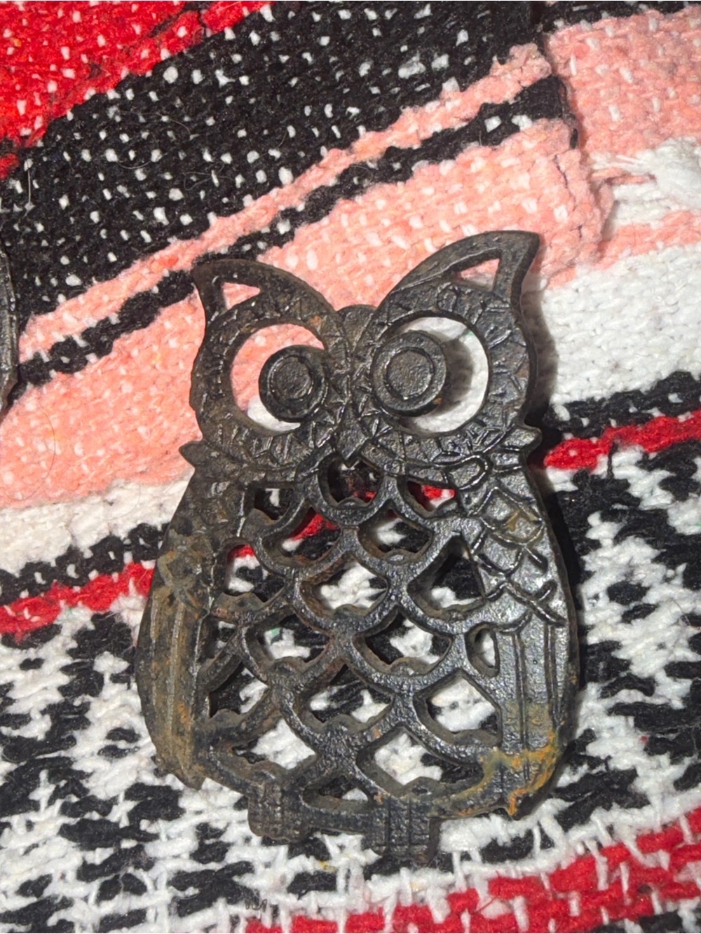 Owls - Picture 2 of 2